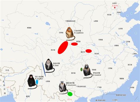 怒江金丝猴分布地区