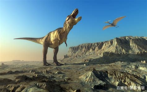 恐龙以前的生命