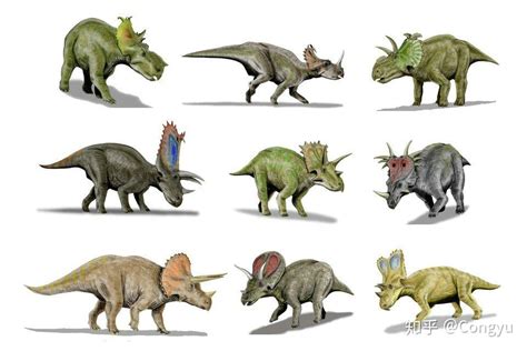 恐龙分多少种