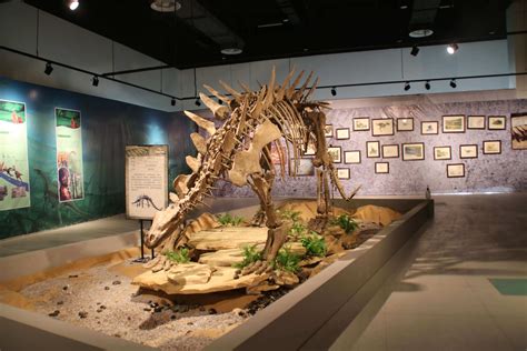 恐龙博物馆招牌设计