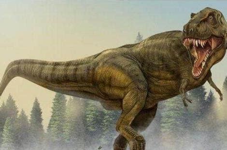 恐龙时代有凶残的肉食性恐龙
