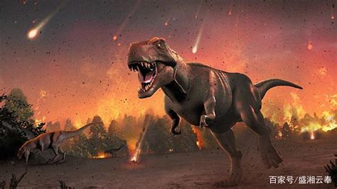 恐龙时代灭亡视频