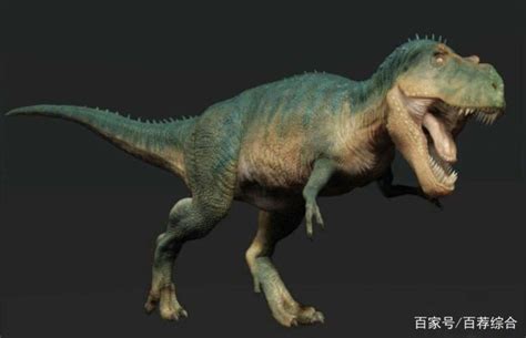 恐龙灭绝是因为霸王龙爪子太短