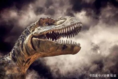 恐龙灭绝用了多长时间