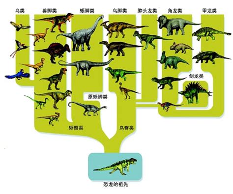 恐龙进化史