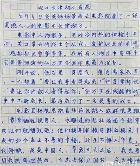 我是中国的孩子观后感怎么写