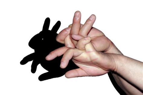 手影兔子怎么做