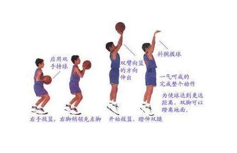打篮球的基本动作