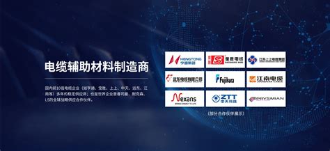 扬州电器公司排名