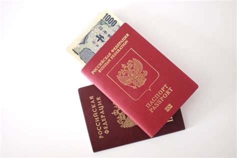 护照俄罗斯多少钱