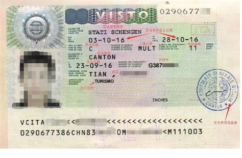 护照没有贴纸怎么查询签证信息