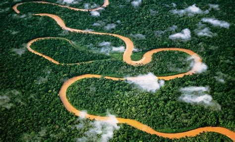 探索神秘的亚马逊河