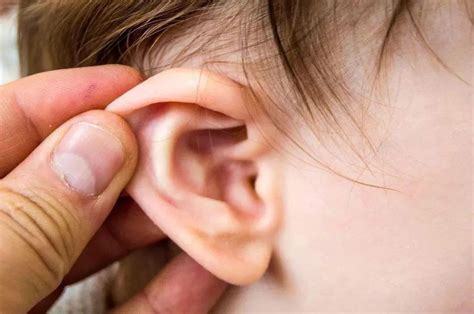 揉耳养生这方法最有益于哪个脏器