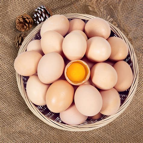散养柴鸡蛋价格多少钱一斤