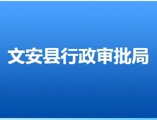 文安县行政审批局网站