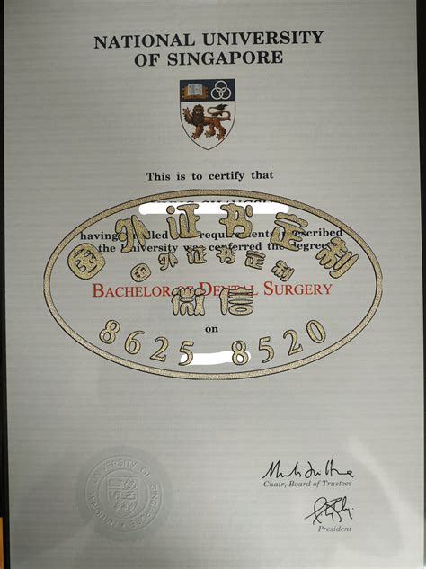 新加坡国立大学毕业证书