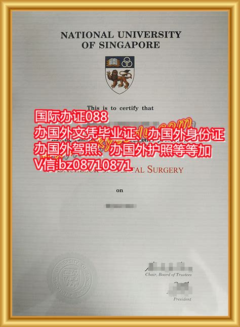 新加坡留学毕业证