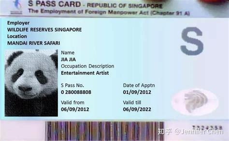 新加坡sp工作签证工资多少