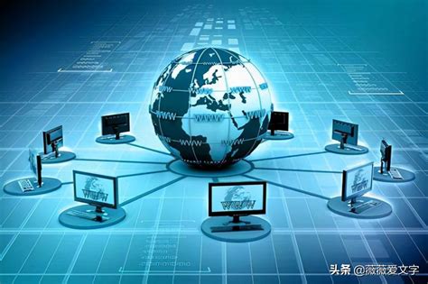 新县企业网站网络推广方案