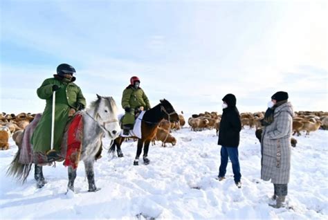 新疆多位牧民遇暴雪失联