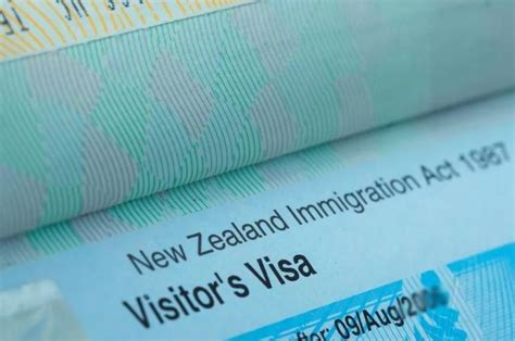 新西兰五年签证要多少钱