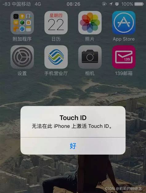无法在苹果上激活touch id