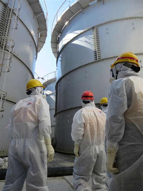 日本排放核污水最新