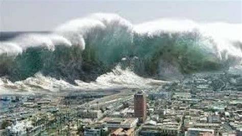 日本海啸最新消息24小时