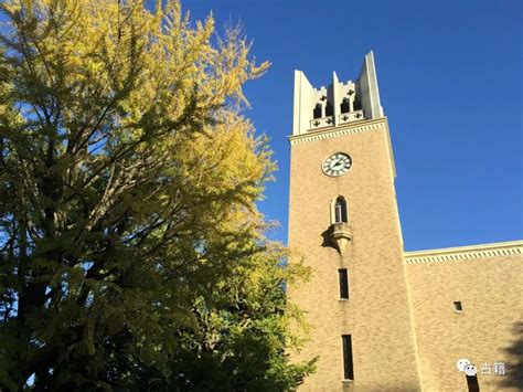 早稻田大学是日本最好的大学吗