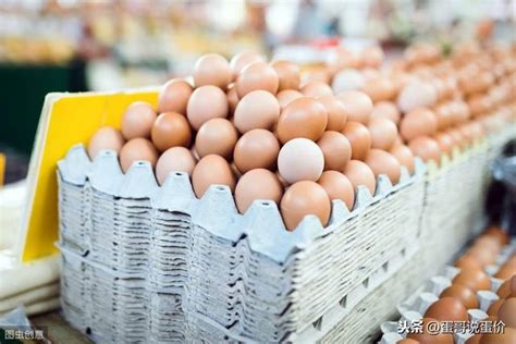 明日鸡蛋价格预测分析