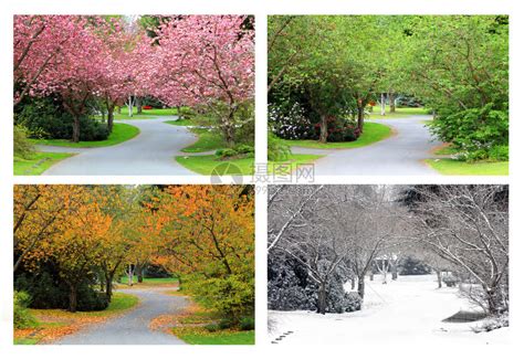 春夏秋冬4个季节的图片