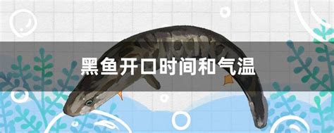 春季黑鱼开口时间和气温