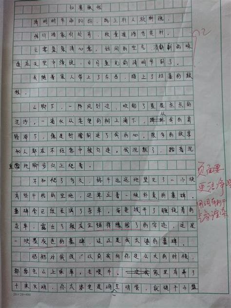 春节的作文至少300字