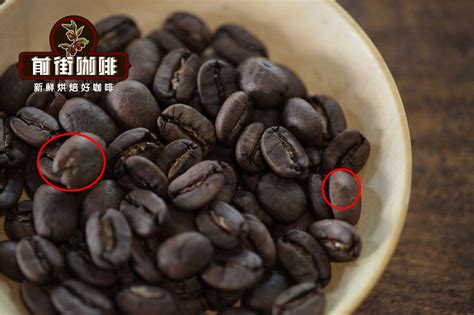 最容易出油脂的咖啡豆