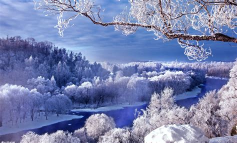 最美冬景图片