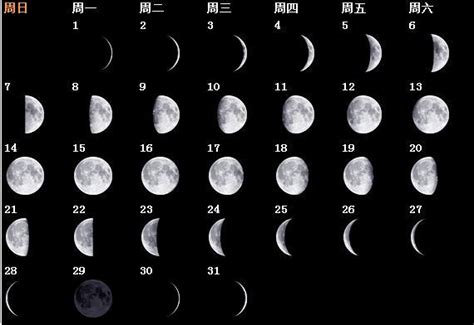 月亮的观察记作文