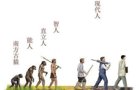 未进化人类