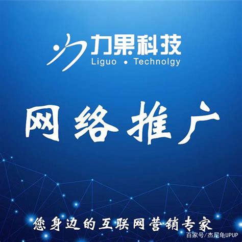 杭州优化技术公司排名