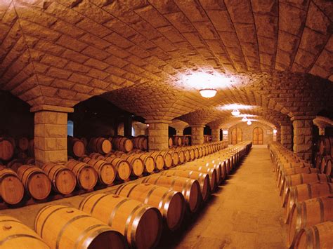 杭州最大的葡萄酒庄
