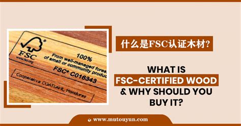 杭州木材fsc认证