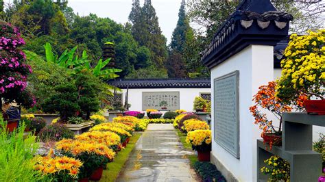 杭州植物园免费预约