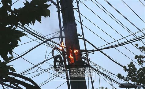 杭州高压电线起火原因