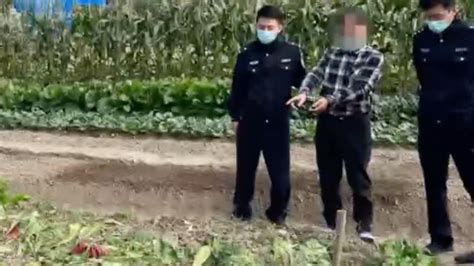 杭州300斤萝卜被偷