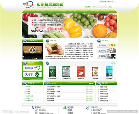 枣庄网页设计开发