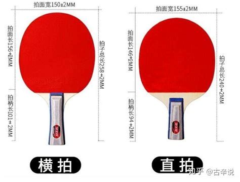 标准乒乓球拍