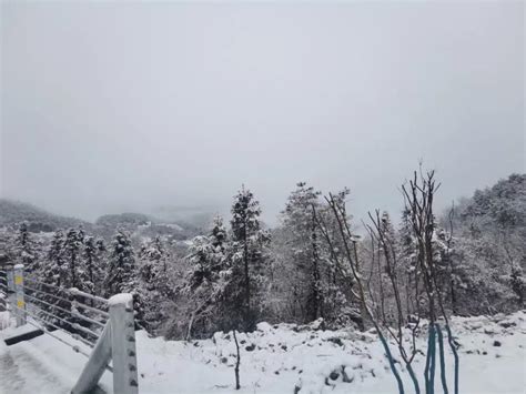 栾川县现在下雪了吗
