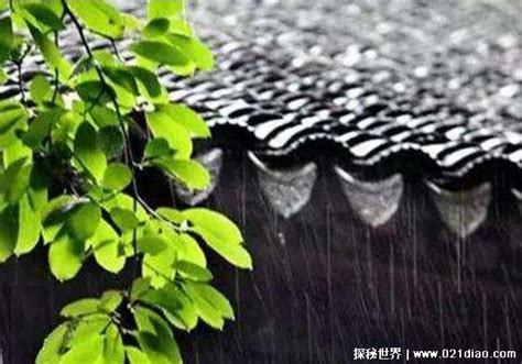 梅雨季节是每年的几月