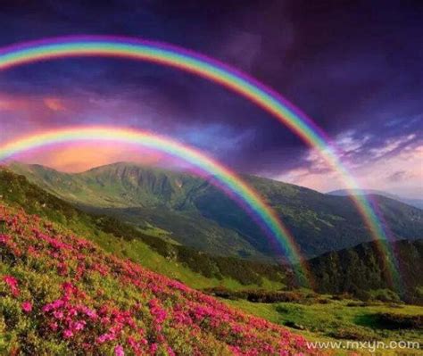梦见整个彩虹是什么意思