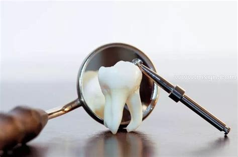 梦见牙齿一颗一颗的掉预示着什么