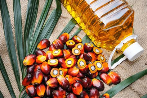 棕榈油的健康指数